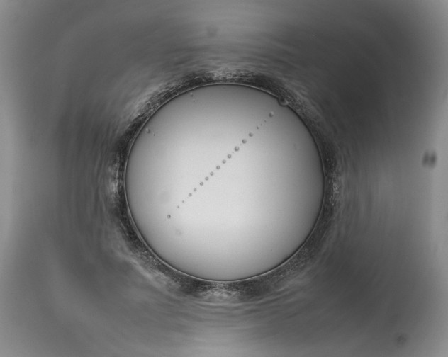 X0000113210691200910011320