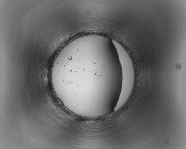 X0000113210692200910011320