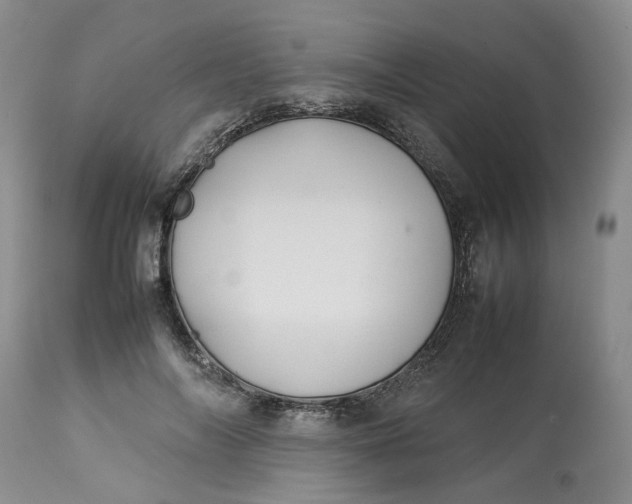 X0000113210694200910011320