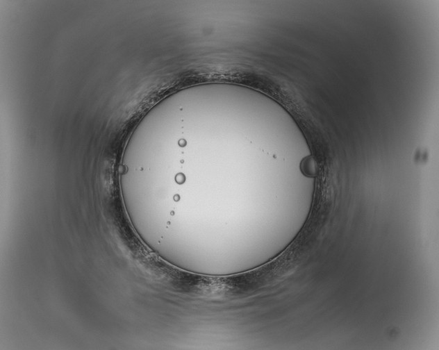 X0000113210695200910011320