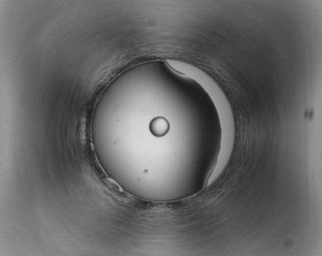 X0000113210696200910011320