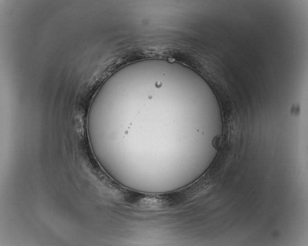 X0000113210699200910011320