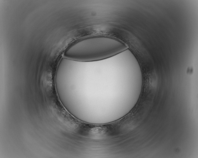 X0000113210700200910011320