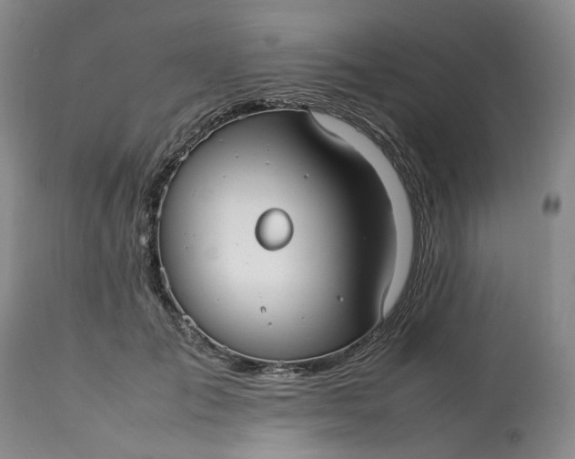 X0000113210701200910011320