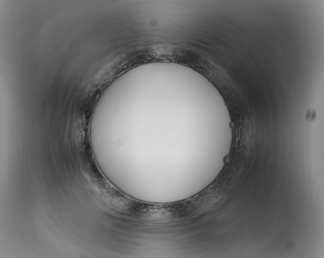 X0000113210702200910011320