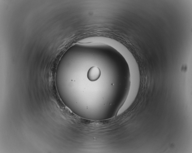 X0000113210704200910011320