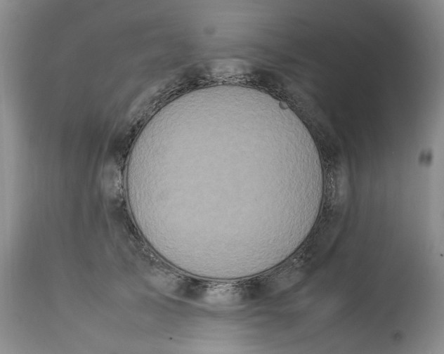 X0000113210705200910011320