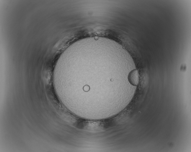 X0000113210709200910011320