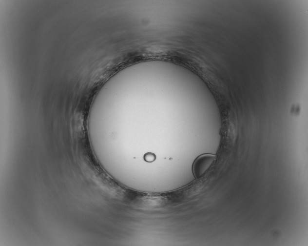 X0000113210711200910011320