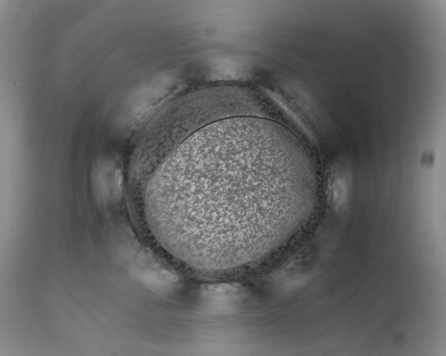 X0000113210716200910011320