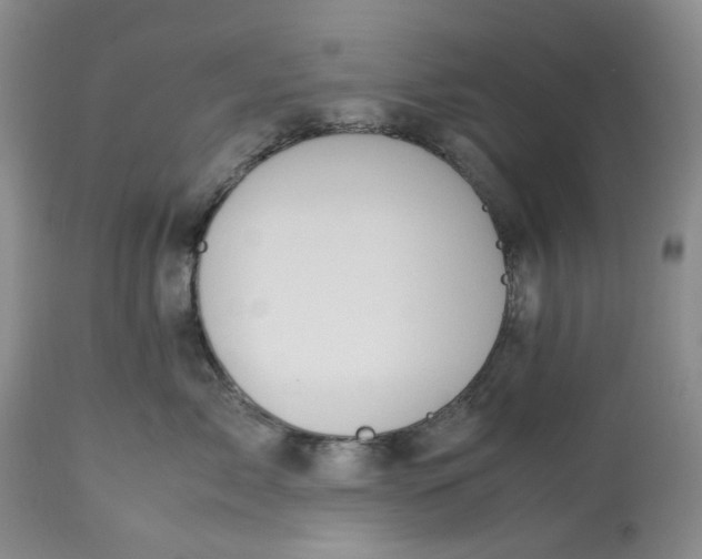 X0000113210717200910011320