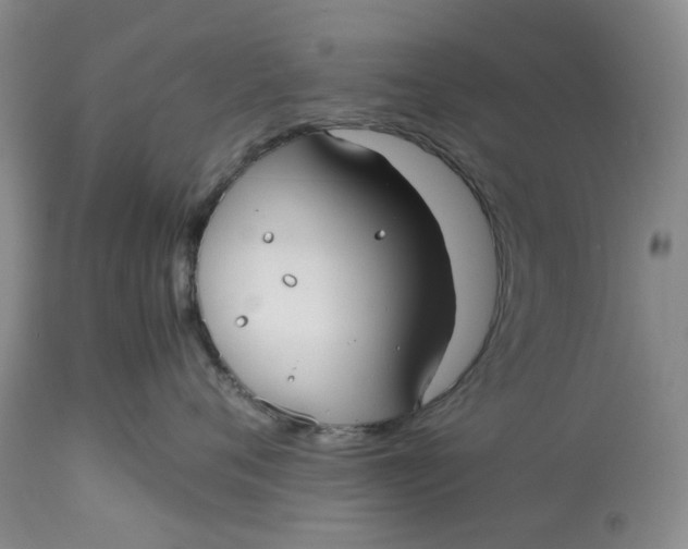 X0000113210720200910011320