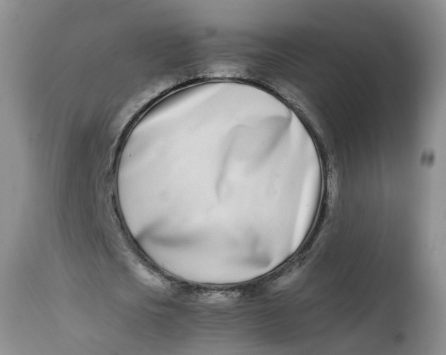 X0000113210721200910011319