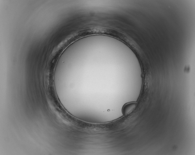 X0000113210722200910011319