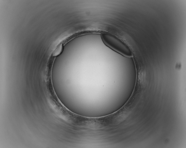 X0000113210724200910011319