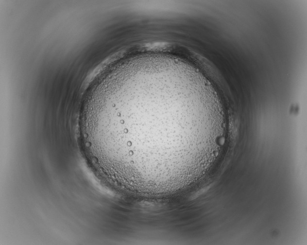 X0000113210725200910011319