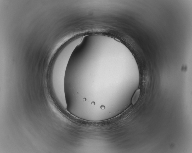 X0000113210726200910011319