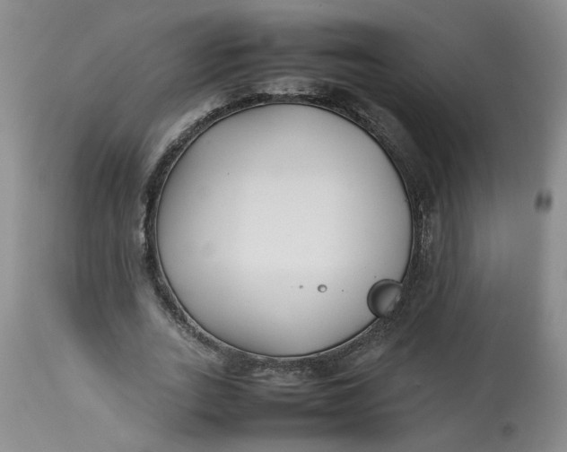 X0000113210727200910011319