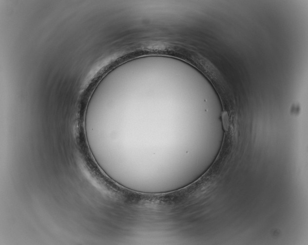 X0000113210728200910011319