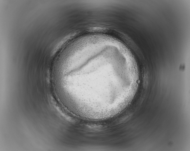 X0000113210729200910011319