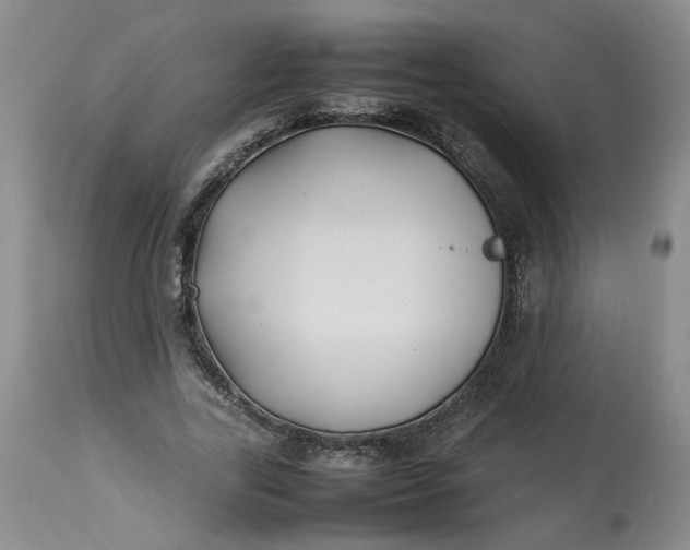 X0000113210731200910011319