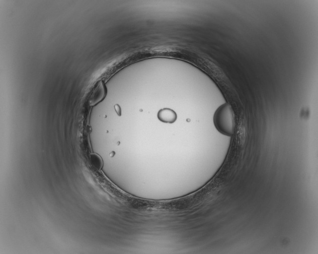 X0000113210732200910011319