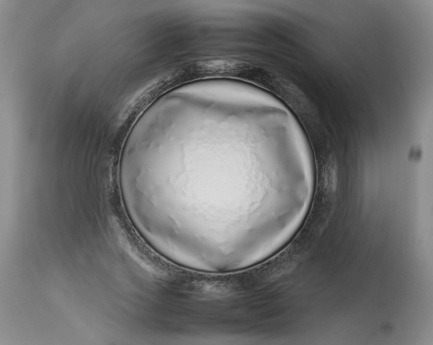 X0000113210733200910011319