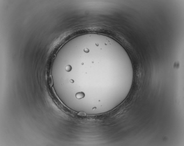 X0000113210734200910011319