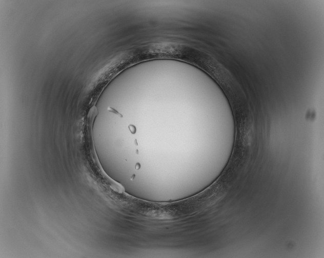 X0000113210735200910011319