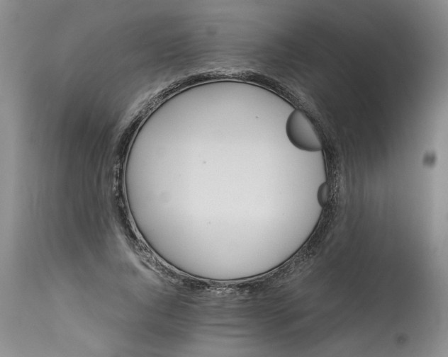 X0000113210736200910011319