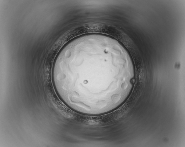 X0000113210737200910011319