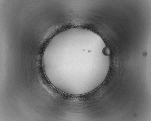 X0000113210738200910011319