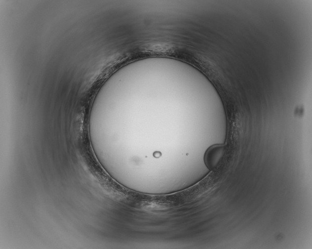 X0000113210739200910011319