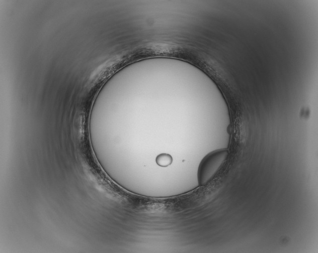 X0000113210740200910011319