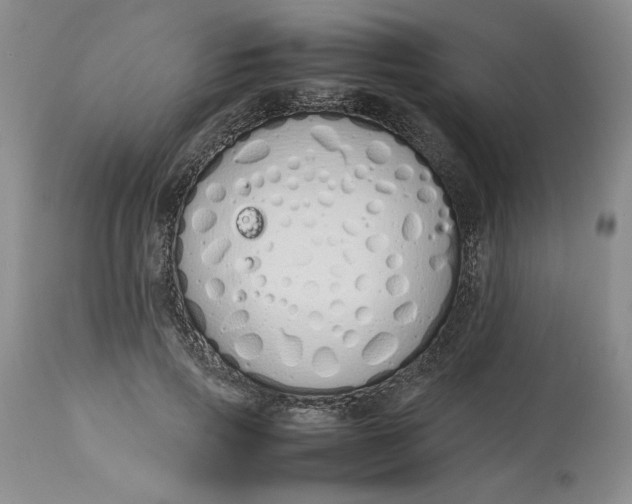 X0000113210741200910011319