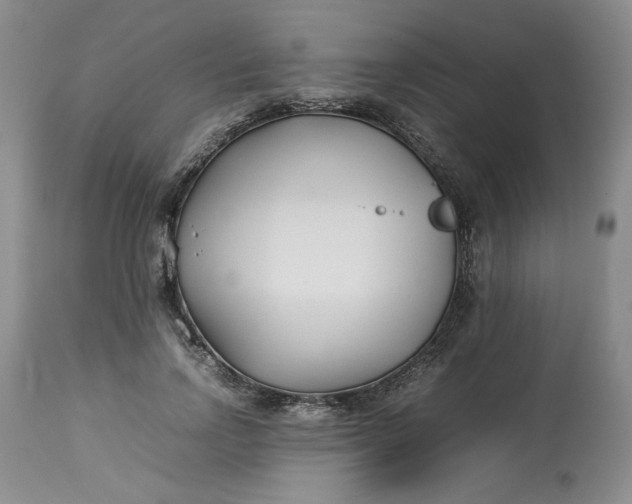 X0000113210742200910011319