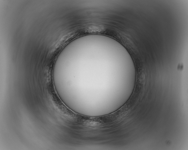 X0000113210743200910011319