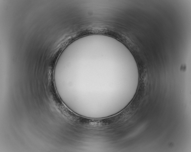 X0000113210744200910011319