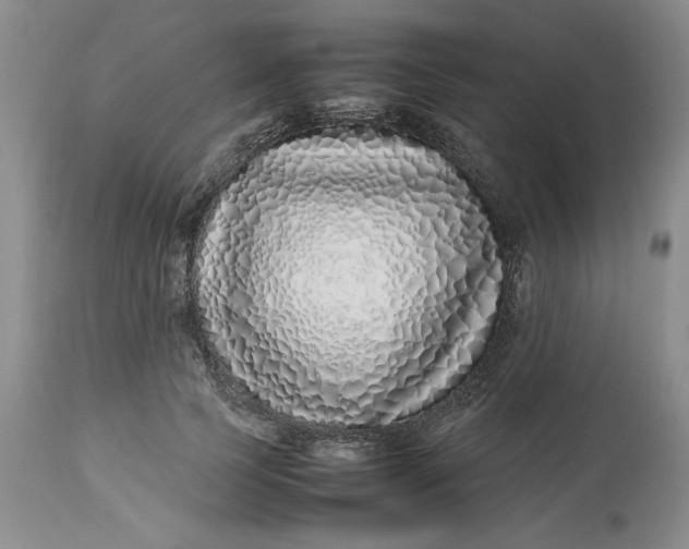 X0000113210745200910011319