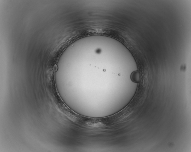 X0000113210747200910011319