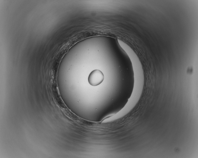 X0000113210752200910011319