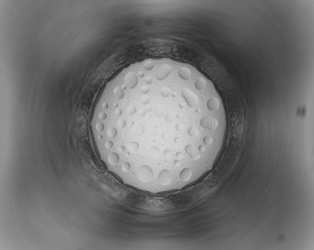 X0000113210753200910011319