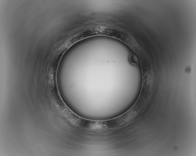 X0000113210754200910011319