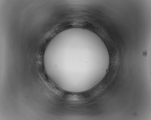 X0000113210755200910011319