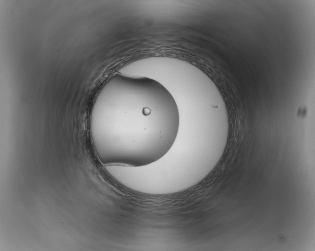 X0000113210756200910011319