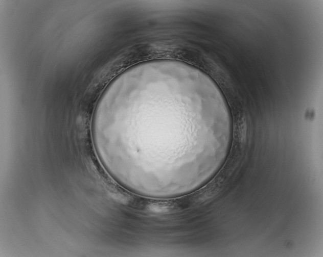 X0000113210757200910011319