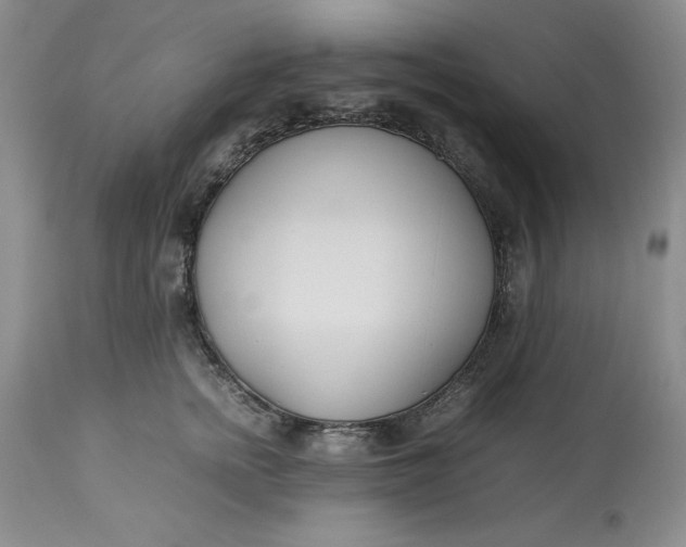 X0000113210758200910011319