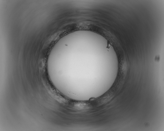 X0000113210759200910011319