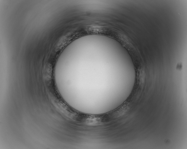 X0000113210760200910011319