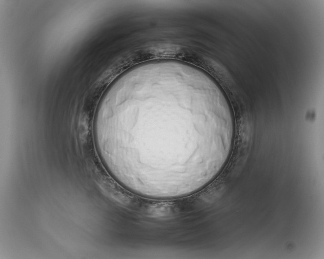 X0000113210761200910011319